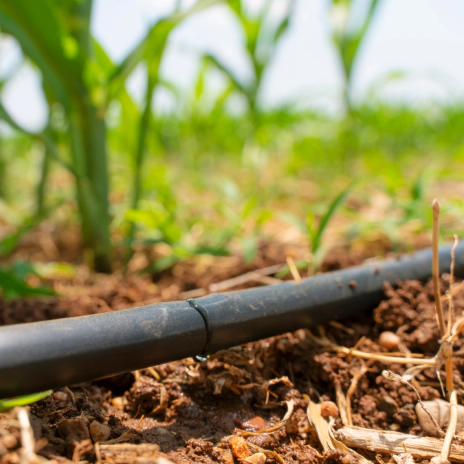 Drip Irrigation Services (1)