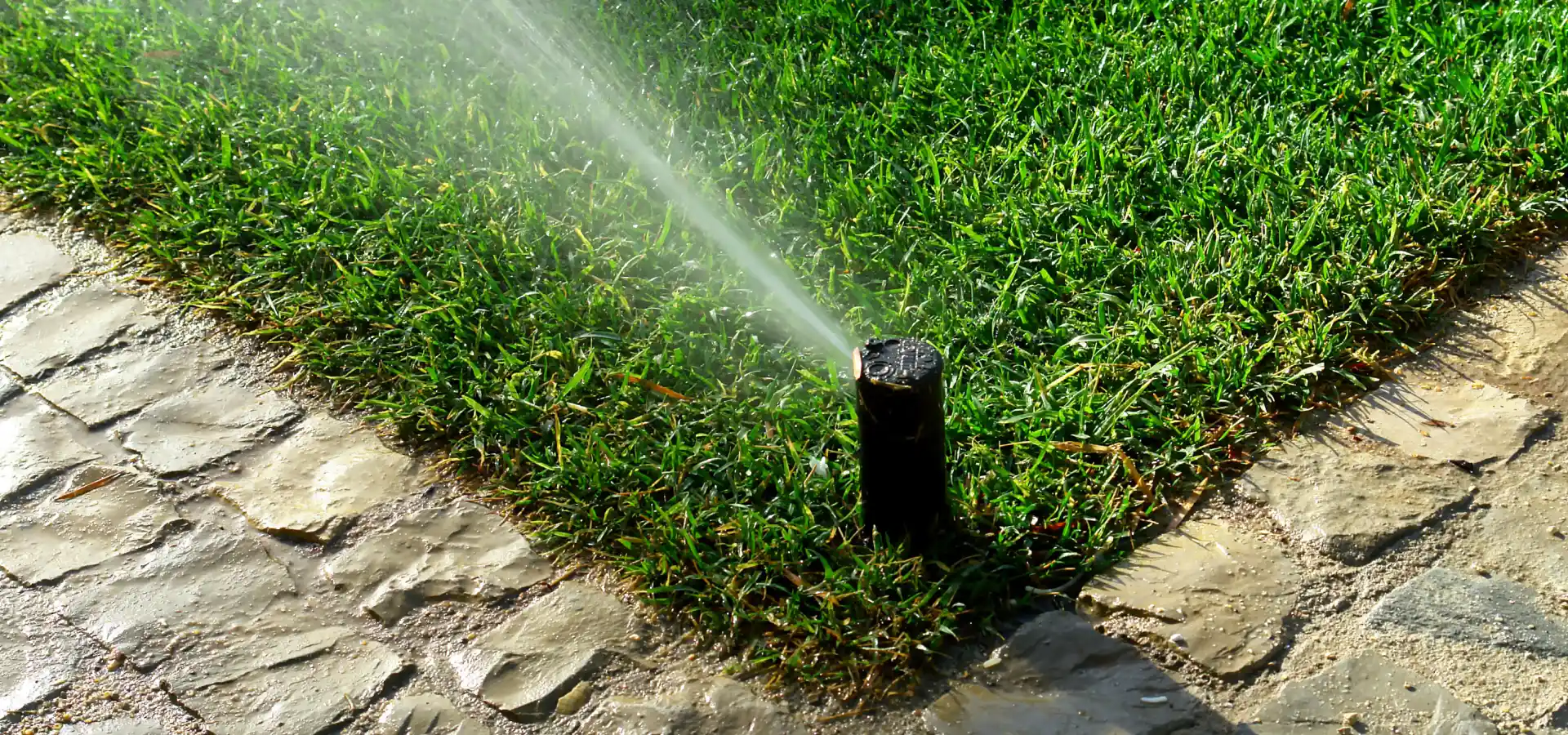 Smart Irrigation Controllers 1